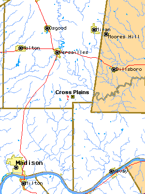 map of Ripley County